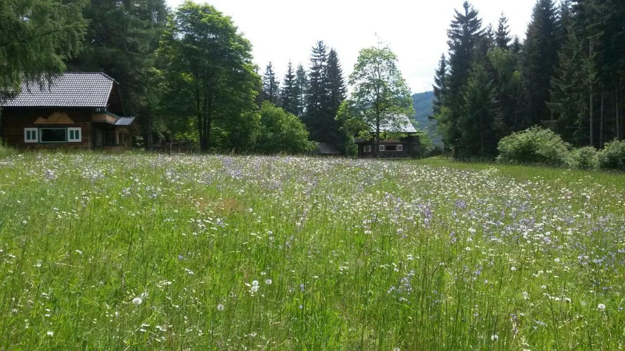 Ferienhaeuser Stohl Mariapfarr Exterior foto