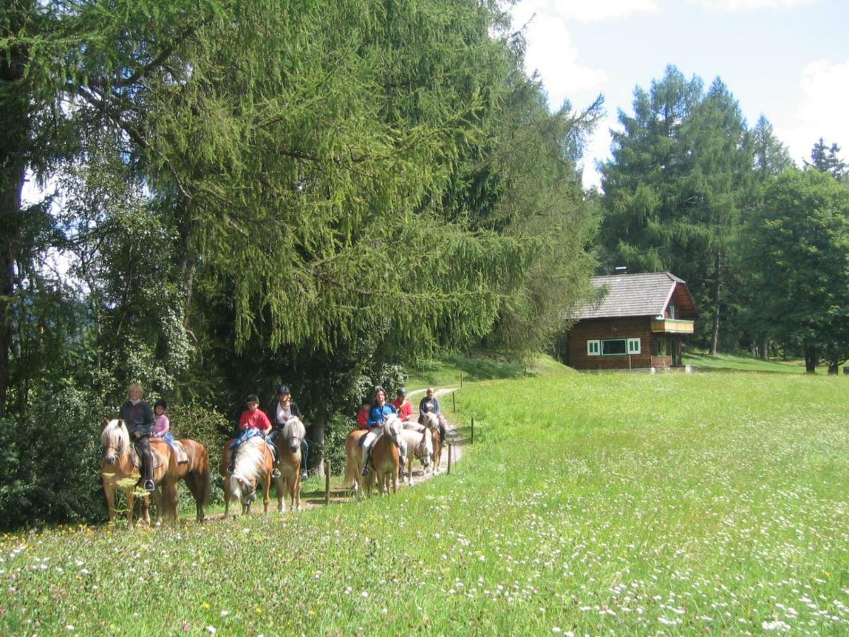 Ferienhaeuser Stohl Mariapfarr Exterior foto